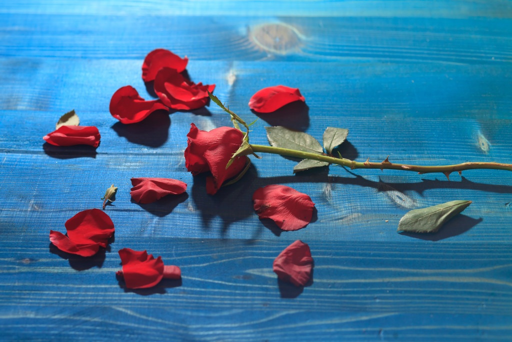 (Source: Dollar Photo Club)