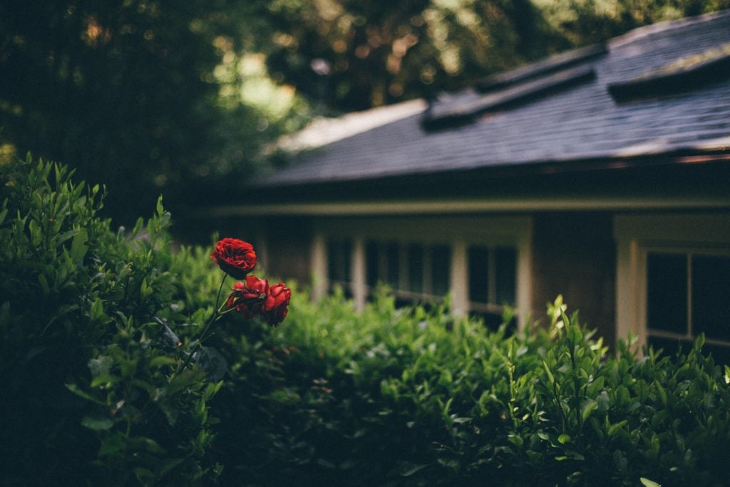 (Photo source: Caroline Sleeper via Unsplash.com)